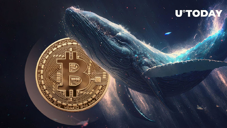 Thousands of Bitcoin Leave Binance in Mysterious Bull Whale Activity