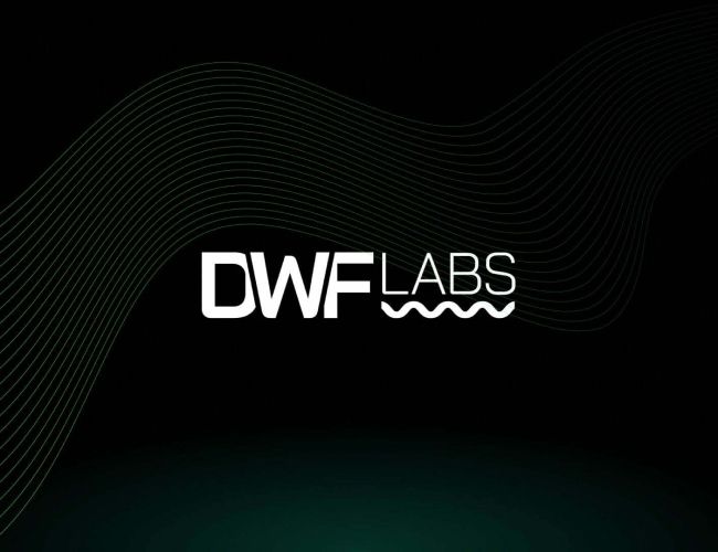 DWF Labs Completes Development of Synthetic Stablecoin Backed by Bitcoin and Ethereum