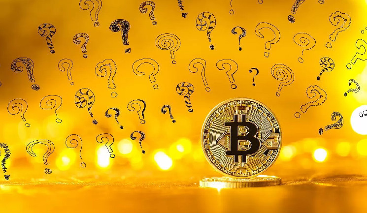 Which Altcoins Did Institutional Investors Who Sold Bitcoin Buy? What's the Latest Situation?