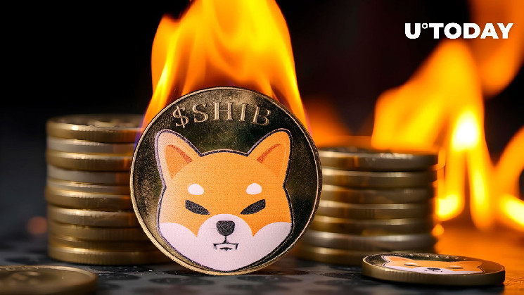 14 Million Shiba Inu Torched as Burn Rate Jumps 404%